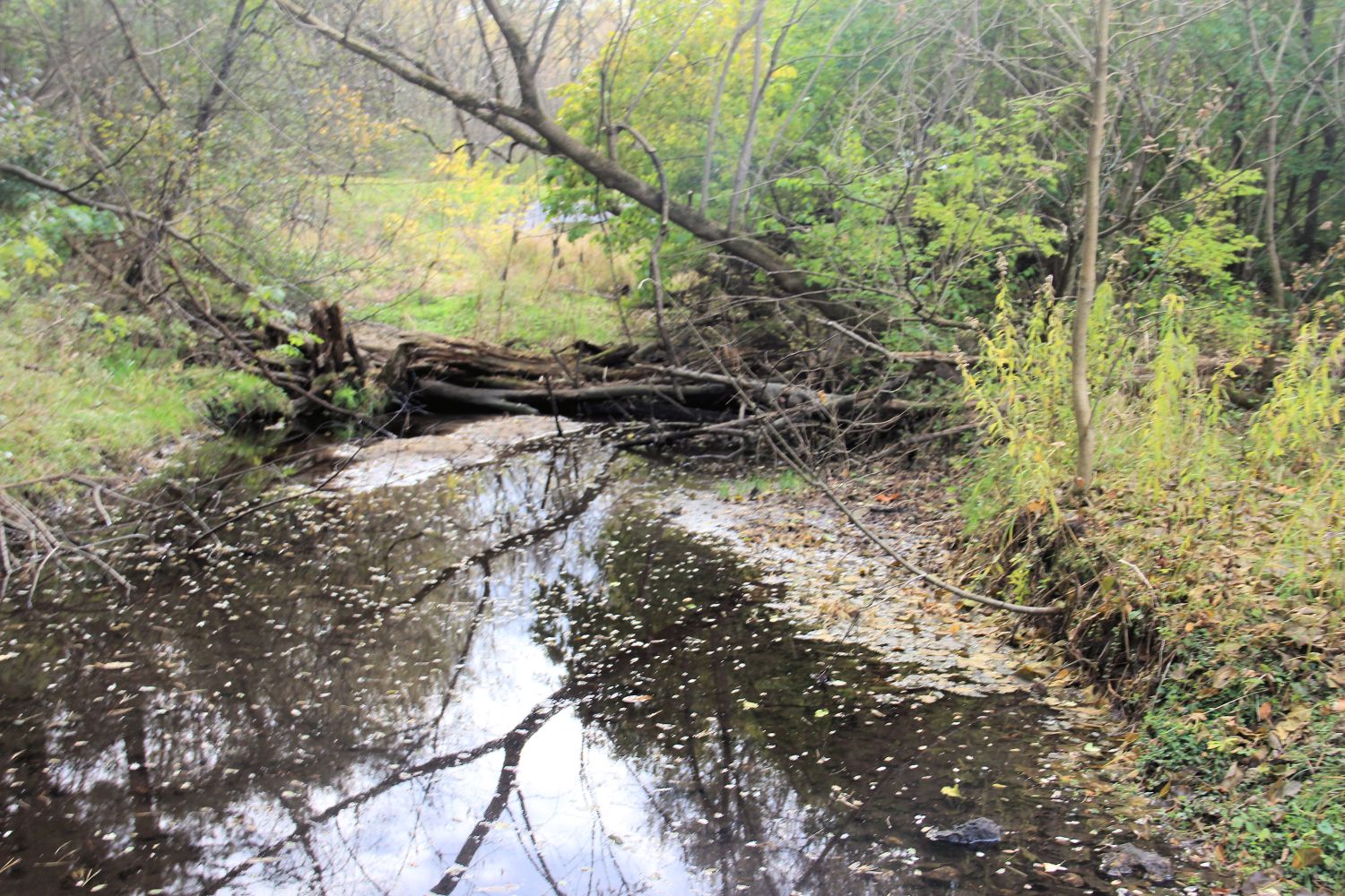 Rock Cut State Park 